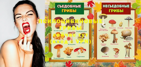 скорость Володарск