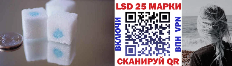 OMG маркетплейс  Всеволожск  сайты даркнета как зайти  ЛСД экстази кислота 