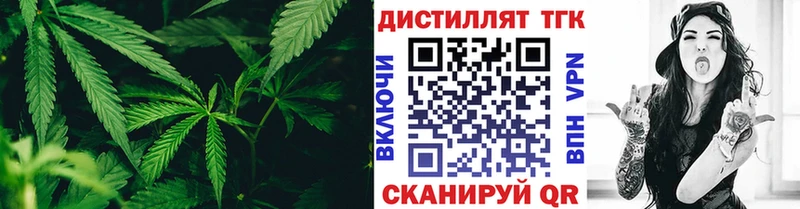 ТГК Wax  Всеволожск 