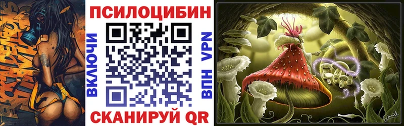 Галлюциногенные грибы прущие грибы  магазин продажи наркотиков  Всеволожск 