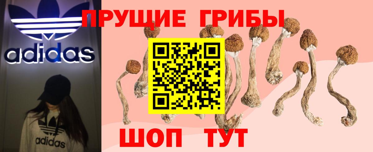 Псилоцибиновые грибы Psilocybe  наркотики  Вход с VPN  Всеволожск  Галлюциногенные грибы GOLDEN TEACHER 